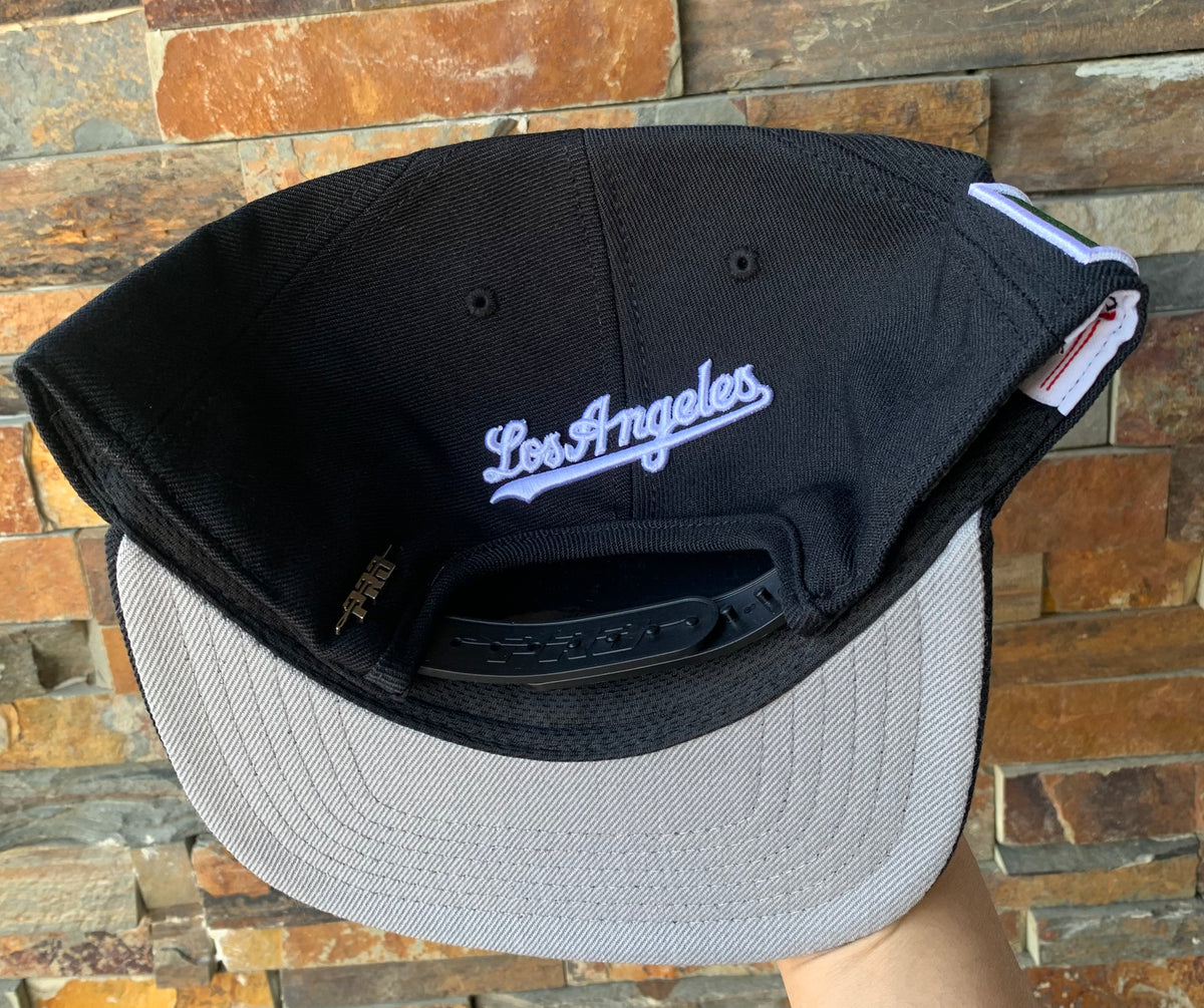 Los Angeles Dodgers Mexico Script Black Pro Standard Snapback – Time Out  Sports